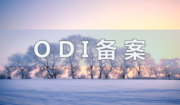 合肥境外投資ODI備案的流程和優(yōu)勢(shì)